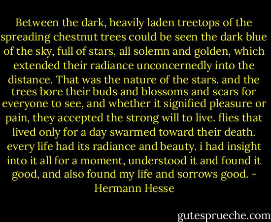 Between the dark, heavily laden treetops of the spreading chestnut trees could be seen the dark blue of the sky, full of stars, all solemn and golden, which extended their radiance unconcernedly into the distance. That was the nature of the stars. and the trees bore their buds and blossoms and scars for everyone to see, and whether it signified pleasure or pain, they accepted the strong will to live. flies that lived only for a day swarmed toward their death. every life had its radiance and beauty. i had insight into it all for a moment, understood it and found it good, and also found my life and sorrows good. - Hermann Hesse