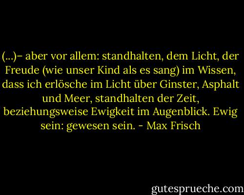 (...)– aber vor allem: standhalten, dem Licht, der Freude (wie unser Kind als es sang) im Wissen, dass ich erlösche im Licht über Ginster, Asphalt und Meer, standhalten der Zeit, beziehungsweise Ewigkeit im Augenblick. Ewig sein: gewesen sein. - Max Frisch