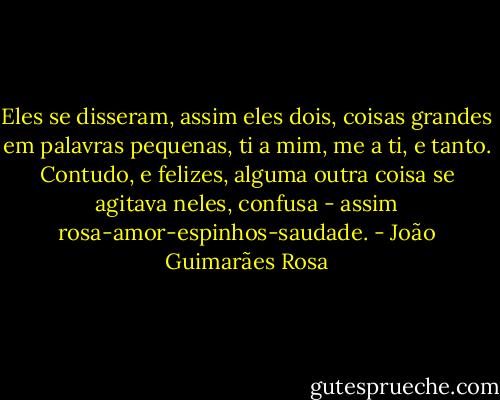 Eles se disseram, assim eles dois, coisas grandes em palavras pequenas, ti a mim, me a ti, e tanto. Contudo, e felizes, alguma outra coisa se agitava neles, confusa - assim rosa-amor-espinhos-saudade. - João Guimarães Rosa