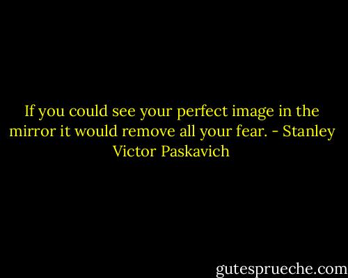 If you could see your perfect image in the mirror it would remove all your fear. - Stanley Victor Paskavich