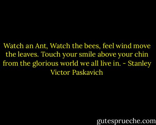 Watch an Ant, Watch the bees, feel wind move the leaves. Touch your smile above your chin from the glorious world we all live in. - Stanley Victor Paskavich