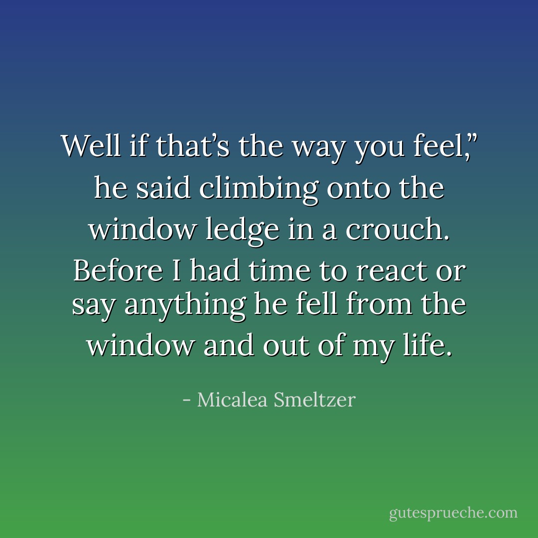 Well if that’s the way you feel,” he said climbing onto the window ledge in a crouch.<br />Before I had time to react or say anything he fell from the window and out of my life. - Micalea Smeltzer