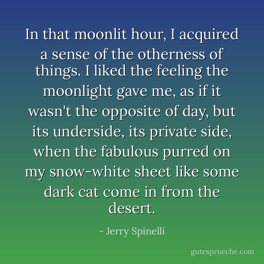 In that moonlit hour, I acquired a sense of the otherness of things. I liked the feeling the moonlight gave me, as if it wasn't the opposite of day, but its underside, its private side, when the fabulous purred on my snow-white sheet like some dark cat come in from the desert. - Jerry Spinelli