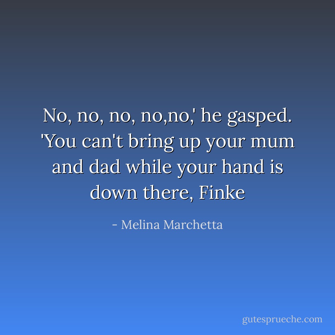 No, no, no, no,no,' he gasped. 'You can't bring up your mum and dad while your hand is down there, Finke - Melina Marchetta