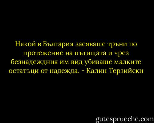 Някой в България засяваше тръни по протежение на пътищата и чрез безнадеждния им вид убиваше малките остатъци от надежда. - Калин Терзийски