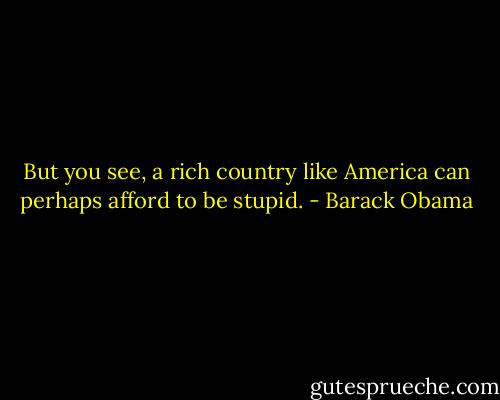 But you see, a rich country like America can perhaps afford to be stupid. - Barack Obama