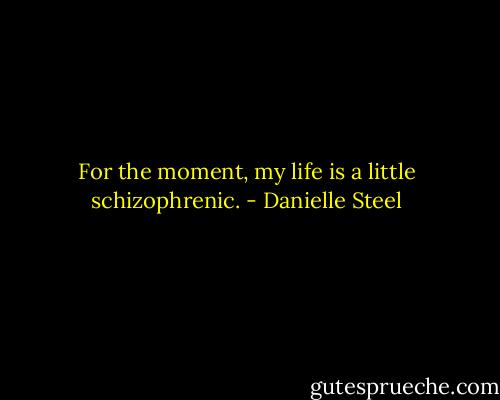 For the moment, my life is a little schizophrenic. - Danielle Steel
