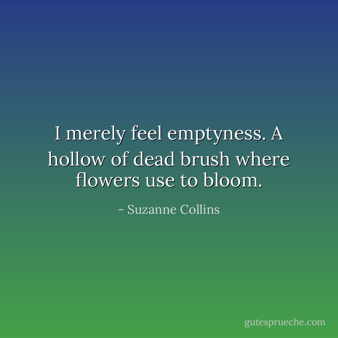 I merely feel emptyness. A hollow of dead brush where flowers use to bloom. - Suzanne Collins