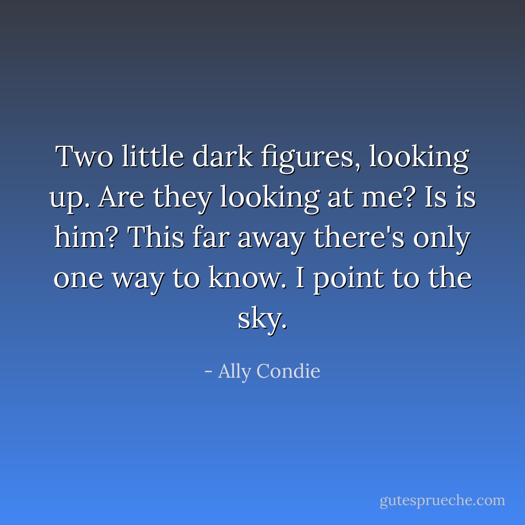 Two little dark figures, looking up. Are they looking at me? Is is him? This far away there's only one way to know. I point to the sky. - Ally Condie
