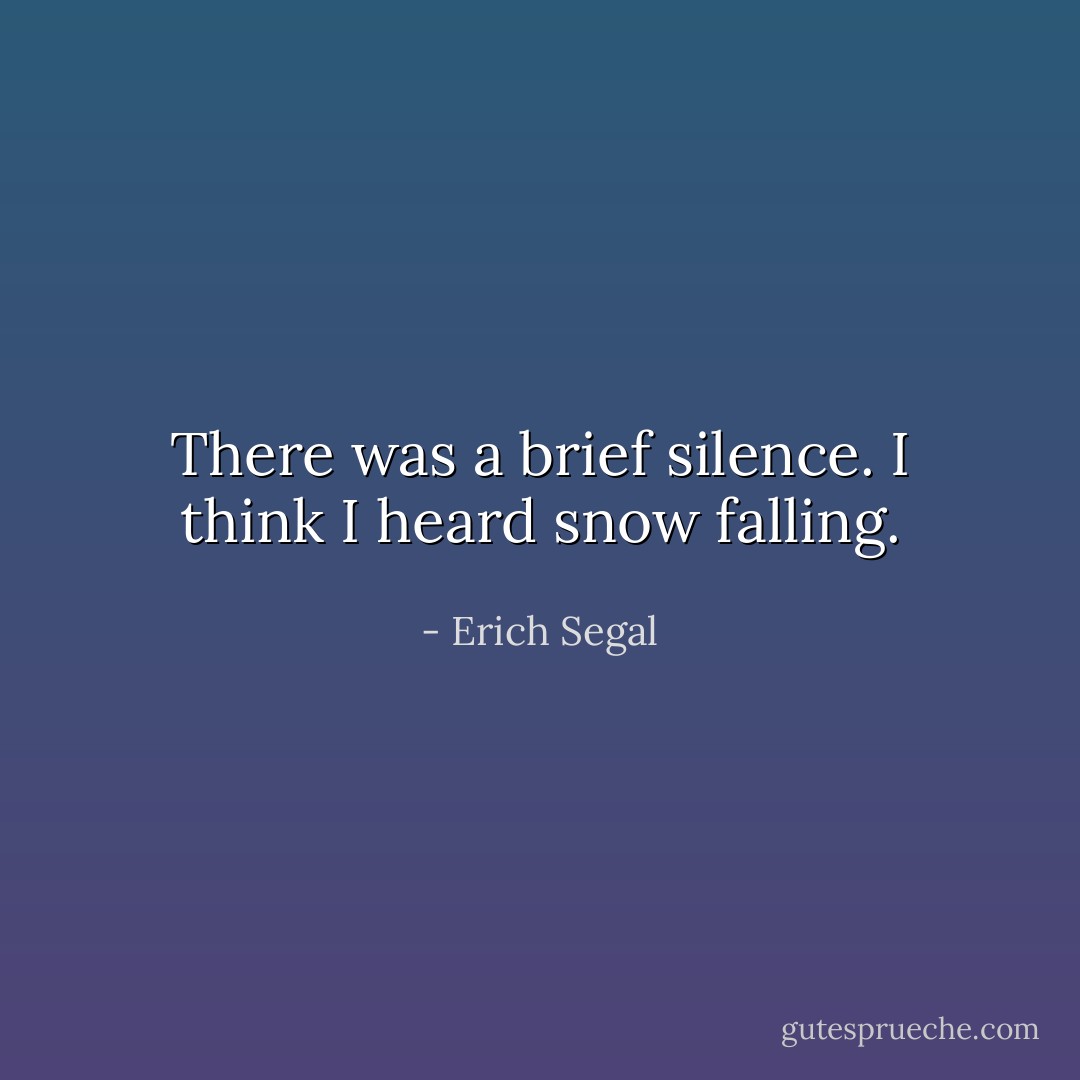 There was a brief silence. I think I heard snow falling. - Erich Segal