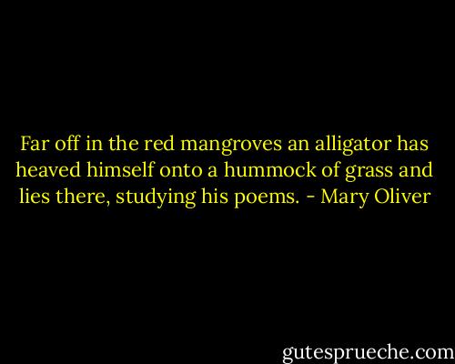 Far off in the red mangroves an alligator has heaved himself onto a hummock of grass and lies there, studying his poems. - Mary Oliver