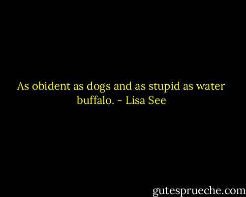 As obident as dogs and as stupid as water buffalo. - Lisa See