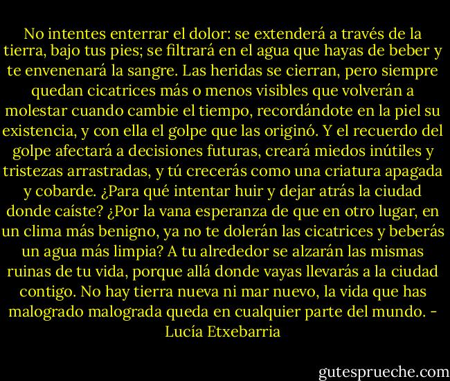 No intentes enterrar el dolor: se extenderá a través de la tierra, bajo tus pies; se filtrará en el agua que hayas de beber y te envenenará la sangre. Las heridas se cierran, pero siempre quedan cicatrices más o menos visibles que volverán a molestar cuando cambie el tiempo, recordándote en la piel su existencia, y con ella el golpe que las originó. Y el recuerdo del golpe afectará a decisiones futuras, creará miedos inútiles y tristezas arrastradas, y tú crecerás como una criatura apagada y cobarde. ¿Para qué intentar huir y dejar atrás la ciudad donde caíste? ¿Por la vana esperanza de que en otro lugar, en un clima más benigno, ya no te dolerán las cicatrices y beberás un agua más limpia? A tu alrededor se alzarán las mismas ruinas de tu vida, porque allá donde vayas llevarás a la ciudad contigo. No hay tierra nueva ni mar nuevo, la vida que has malogrado malograda queda en cualquier parte del mundo. - Lucía Etxebarria