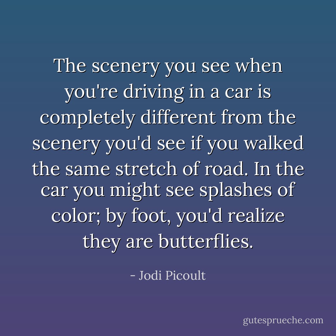 The scenery you see when you're driving in a car is completely different from the scenery you'd see if you walked the same stretch of road. In the car you might see splashes of color; by foot, you'd realize they are butterflies. - Jodi Picoult