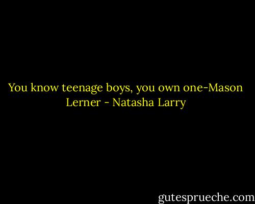 You know teenage boys, you own one-Mason Lerner - Natasha Larry