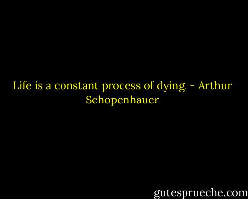 Life is a constant process of dying. - Arthur Schopenhauer