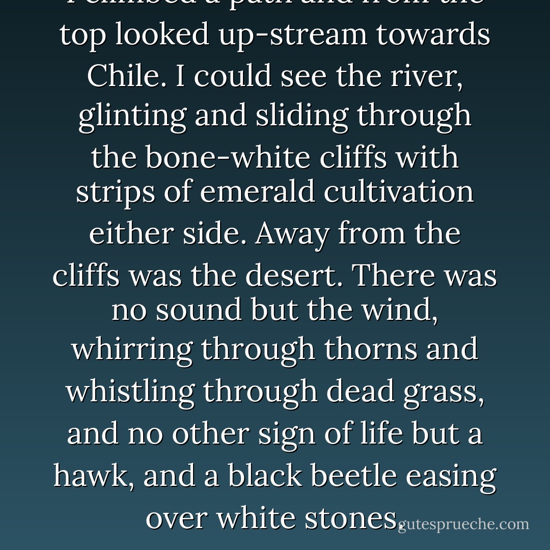 I climbed a path and from the top looked up-stream towards Chile. I could see the river, glinting and sliding through the bone-white cliffs with strips of emerald cultivation either side. Away from the cliffs was the desert. There was no sound but the wind, whirring through thorns and whistling through dead grass, and no other sign of life but a hawk, and a black beetle easing over white stones. - Bruce Chatwin