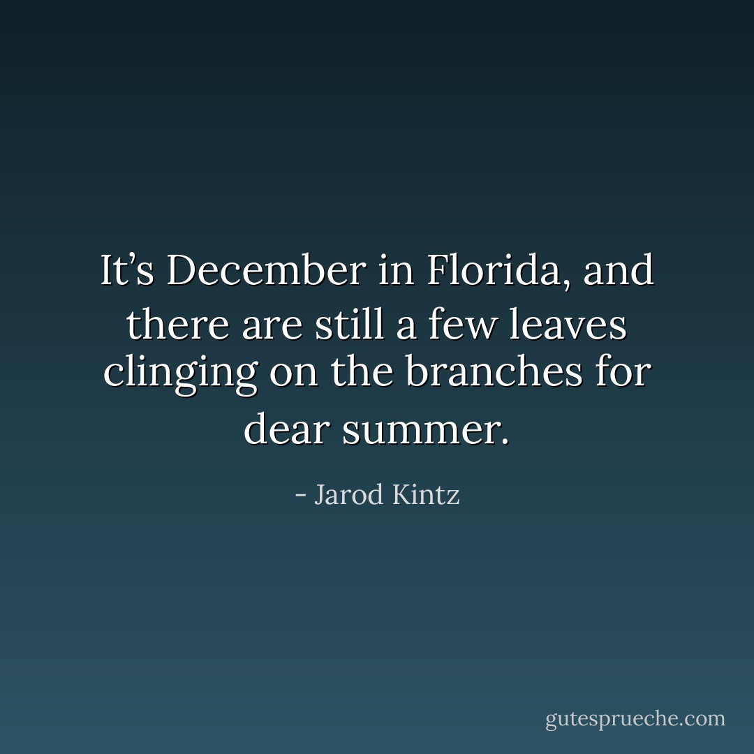It’s December in Florida, and there are still a few leaves clinging on the branches for dear summer. - Jarod Kintz