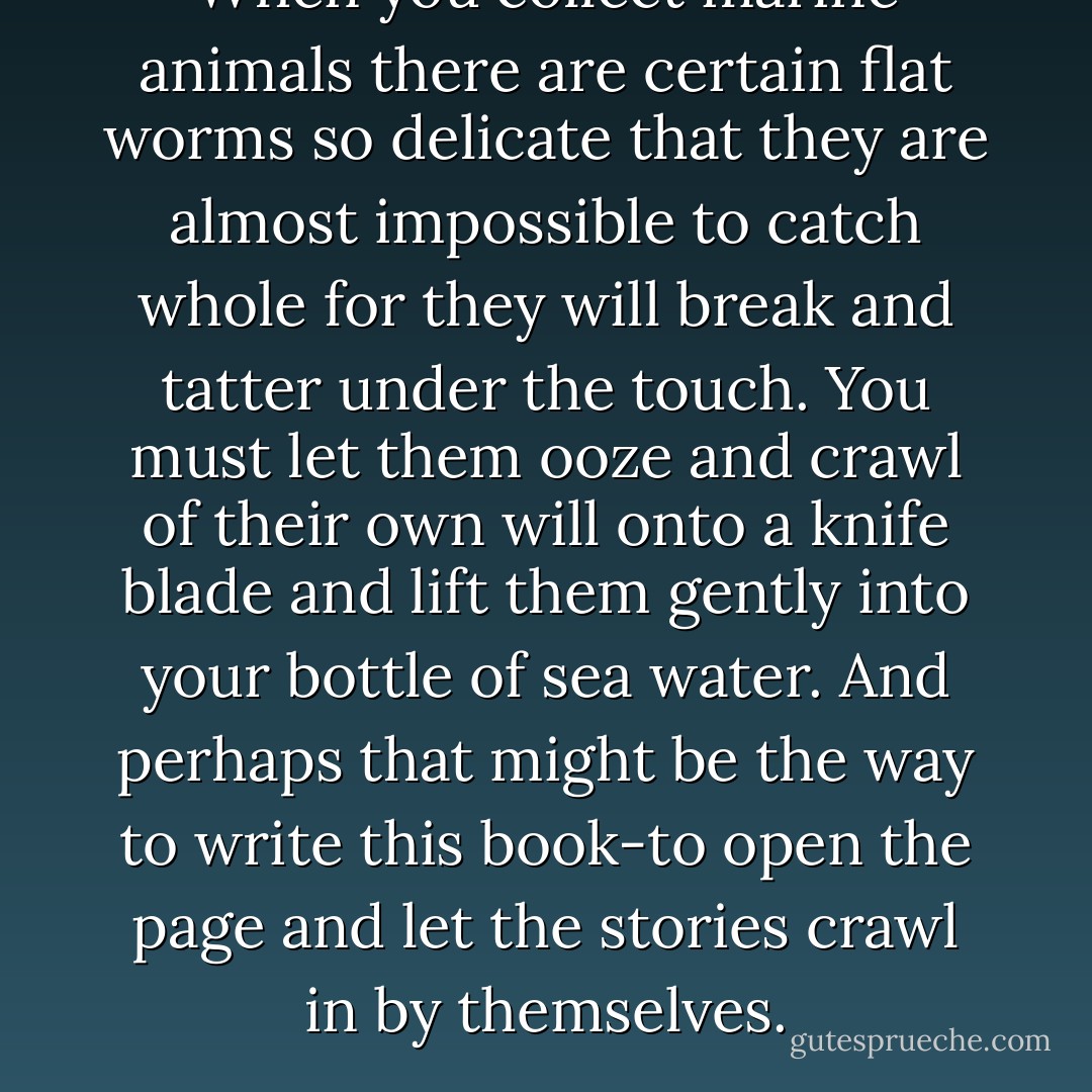 When you collect marine animals there are certain flat worms so delicate that they are almost impossible to catch whole for they will break and tatter under the touch. You must let them ooze and crawl of their own will onto a knife blade and lift them gently into your bottle of sea water. And perhaps that might be the way to write this book-to open the page and let the stories crawl in by themselves. - John Steinbeck