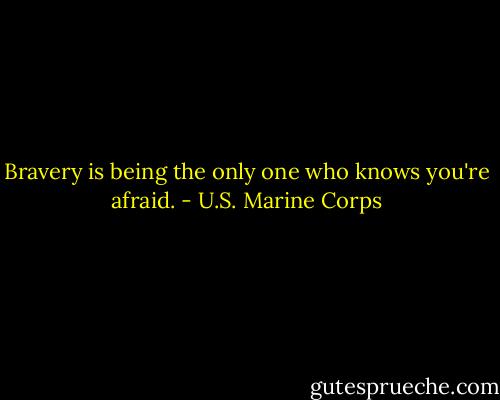 Bravery is being the only one who knows you're afraid. - U.S. Marine Corps
