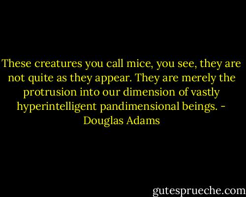 These creatures you call mice, you see, they are not quite as they appear. They are merely the protrusion into our dimension of vastly hyperintelligent pandimensional beings. - Douglas Adams