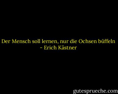 Der Mensch soll lernen, nur die Ochsen büffeln - Erich Kästner