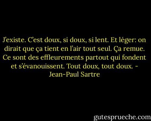 J’existe. C’est doux, si doux, si lent. Et léger: on dirait que ça tient en l’air tout seul. Ça remue. Ce sont des effleurements partout qui fondent et s’évanouissent. Tout doux, tout doux. - Jean-Paul Sartre