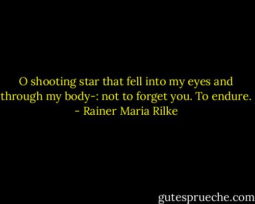 O shooting star<br />that fell into my eyes and through my body-:<br />not to forget you. To endure. - Rainer Maria Rilke
