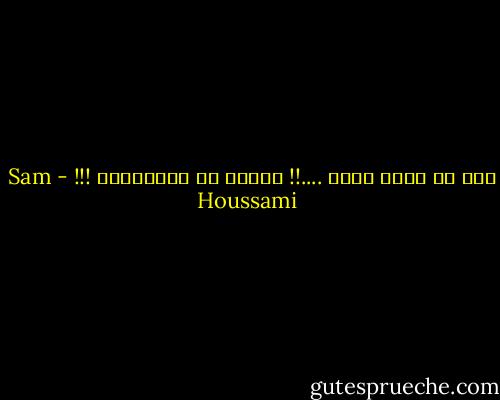 أنا في وطني غريب ....!! سأبحث عن اللابديل !!! - Sam Houssami