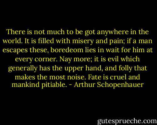 There is not much to be got anywhere in the world. It is filled with misery and pain; if a man escapes these, boredeom lies in wait for him at every corner. Nay more; it is evil which generally has the upper hand, and folly that makes the most noise. Fate is cruel and mankind pitiable. - Arthur Schopenhauer