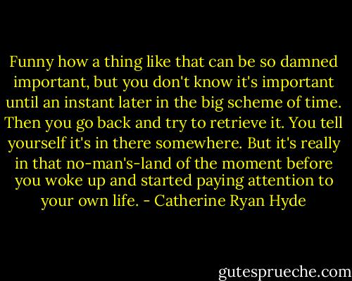 Funny how a thing like that can be so damned important, but you don't know it's important until an instant later in the big scheme of time. Then you go back and try to retrieve it. You tell yourself it's in there somewhere. But it's really in that no-man's-land of the moment before you woke up and started paying attention to your own life. - Catherine Ryan Hyde