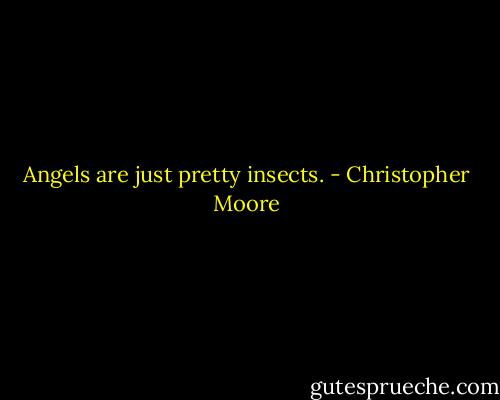 Angels are just pretty insects. - Christopher Moore