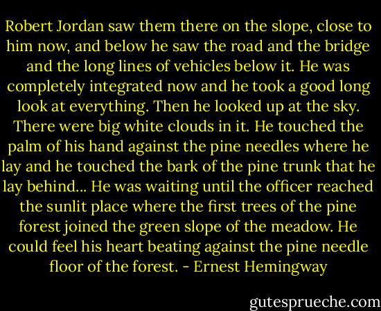 Robert Jordan saw them there on the slope, close to him now, and below he saw the road and the bridge and the long lines of vehicles below it. He was completely integrated now and he took a good long look at everything. Then he looked up at the sky. There were big white clouds in it. He touched the palm of his hand against the pine needles where he lay and he touched the bark of the pine trunk that he lay behind... He was waiting until the officer reached the sunlit place where the first trees of the pine forest joined the green slope of the meadow. He could feel his heart beating against the pine needle floor of the forest. - Ernest Hemingway