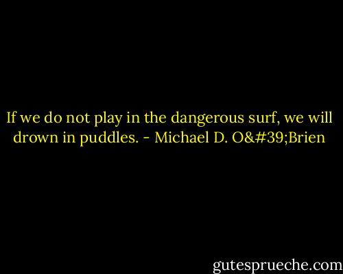 If we do not play in the dangerous surf, we will drown in puddles. - Michael D. O'Brien