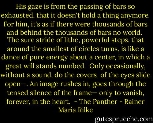 His gaze is from the passing of bars<br />so exhausted, that it doesn't hold a thing anymore.<br />For him, it's as if there were thousands of bars<br />and behind the thousands of bars no world.<br /><br />The sure stride of lithe, powerful steps,<br />that around the smallest of circles turns,<br />is like a dance of pure energy about a center,<br />in which a great will stands numbed.<br /><br />Only occasionally, without a sound, do the covers <br />of the eyes slide open—. An image rushes in,<br />goes through the tensed silence of the frame—<br />only to vanish, forever, in the heart.<br /><br />- The Panther - Rainer Maria Rilke