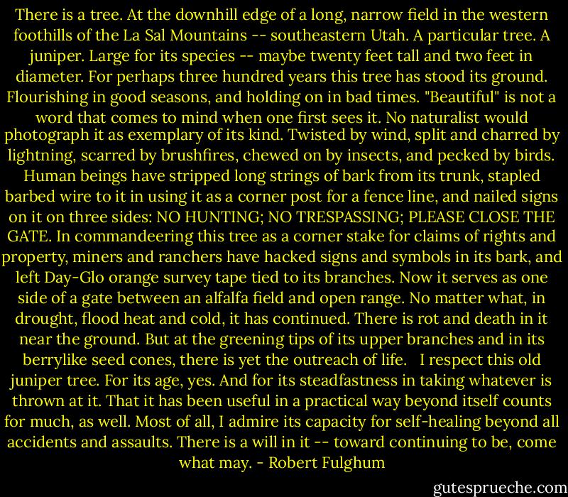 There is a tree. At the downhill edge of a long, narrow field in the western foothills of the La Sal Mountains -- southeastern Utah. A particular tree. A juniper. Large for its species -- maybe twenty feet tall and two feet in diameter. For perhaps three hundred years this tree has stood its ground. Flourishing in good seasons, and holding on in bad times. "Beautiful" is not a word that comes to mind when one first sees it. No naturalist would photograph it as exemplary of its kind. Twisted by wind, split and charred by lightning, scarred by brushfires, chewed on by insects, and pecked by birds. Human beings have stripped long strings of bark from its trunk, stapled barbed wire to it in using it as a corner post for a fence line, and nailed signs on it on three sides: NO HUNTING; NO TRESPASSING; PLEASE CLOSE THE GATE. In commandeering this tree as a corner stake for claims of rights and property, miners and ranchers have hacked signs and symbols in its bark, and left Day-Glo orange survey tape tied to its branches. Now it serves as one side of a gate between an alfalfa field and open range. No matter what, in drought, flood heat and cold, it has continued. There is rot and death in it near the ground. But at the greening tips of its upper branches and in its berrylike seed cones, there is yet the outreach of life. <br /><br />I respect this old juniper tree. For its age, yes. And for its steadfastness in taking whatever is thrown at it. That it has been useful in a practical way beyond itself counts for much, as well. Most of all, I admire its capacity for self-healing beyond all accidents and assaults. There is a will in it -- toward continuing to be, come what may. - Robert Fulghum