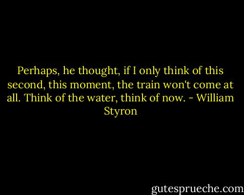 Perhaps, he thought, if I only think of this second, this moment, the train won't come at all. Think of the water, think of now. - William Styron