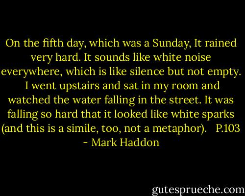 On the fifth day, which was a Sunday, It rained very hard. It sounds like white noise everywhere, which is like silence but not empty. <br />I went upstairs and sat in my room and watched the water falling in the street. It was falling so hard that it looked like white sparks (and this is a simile, too, not a metaphor). <br /><br />P.103 - Mark Haddon