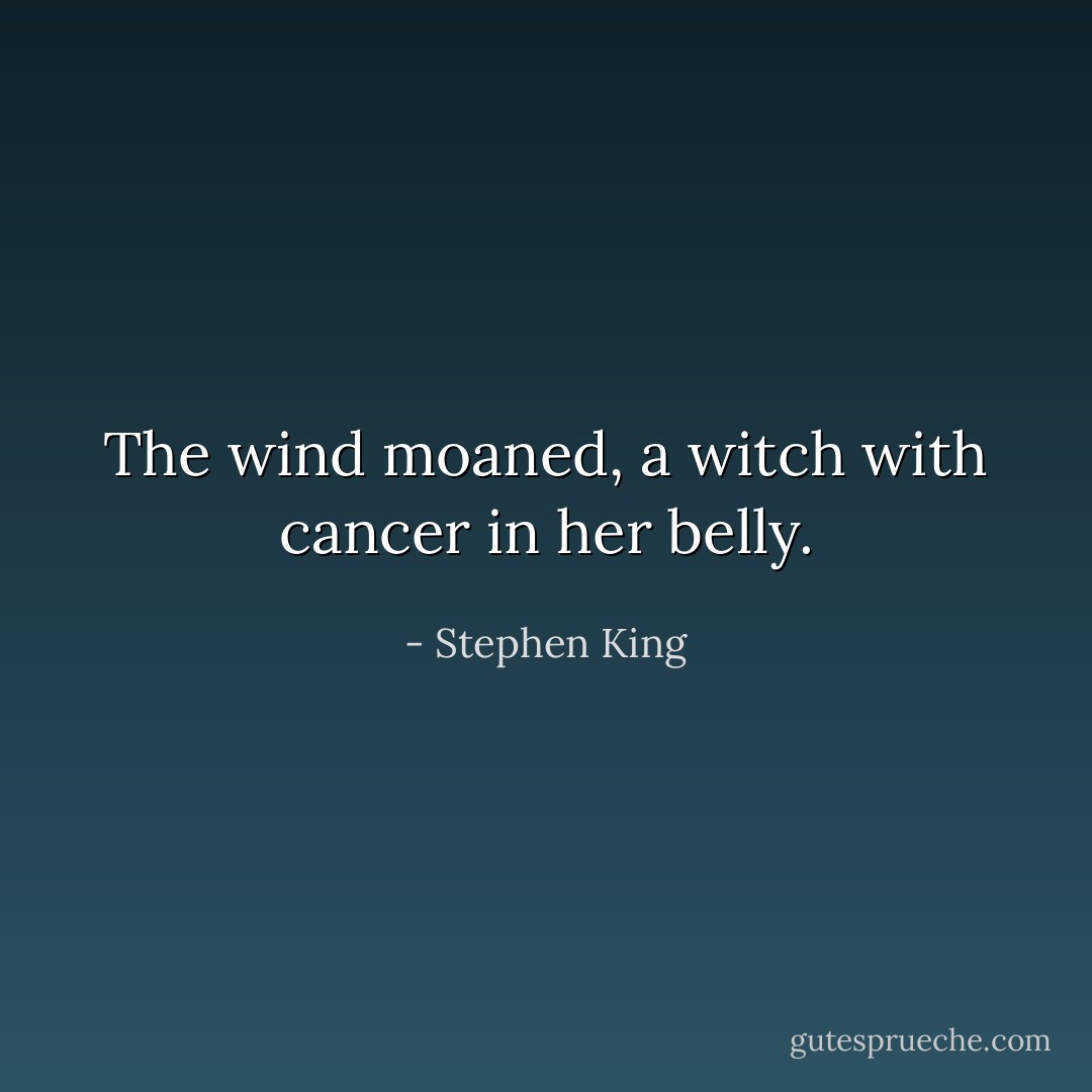 The wind moaned, a witch with cancer in her belly. - Stephen King