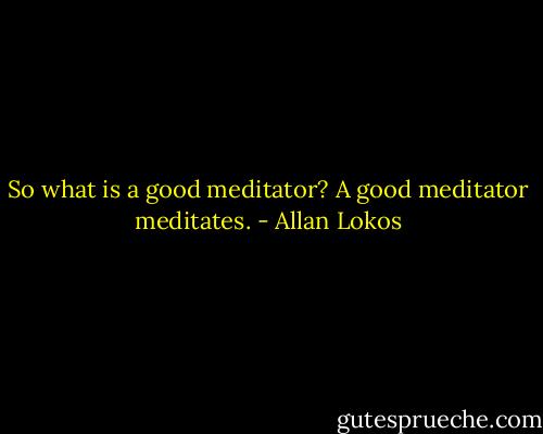 So what is a good meditator? A good meditator meditates. - Allan Lokos