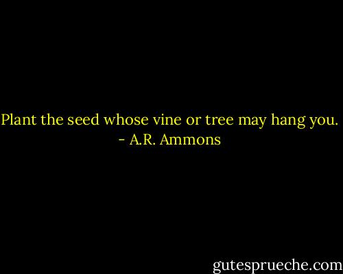 Plant the seed whose vine or tree may hang you. - A.R. Ammons