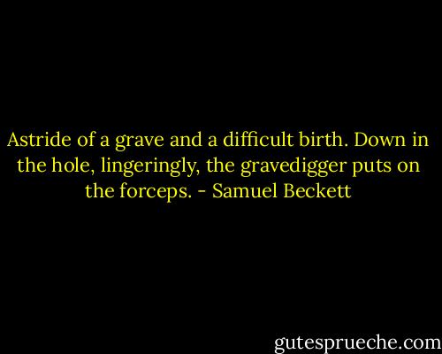 Astride of a grave and a difficult birth. Down in the hole, lingeringly, the gravedigger puts on the forceps. - Samuel Beckett