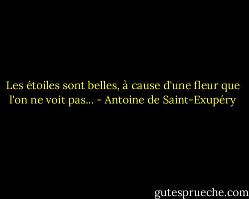 Les étoiles sont belles, à cause d'une fleur que l'on ne voit pas... - Antoine de Saint-Exupéry