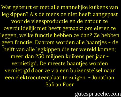 Wat gebeurt er met alle mannelijke kuikens van legkippen? Als de mens ze niet heeft aangepast voor de vleesproductie en de natuur ze overduidelijk niet heeft gemaakt om eieren te leggen, welke functie hebben ze dan? Ze hebben geen functie. Daarom worden alle haantjes - de helft van alle legkippen die ter wereld komen; meer dan 250 miljoen kuikens per jaar - vernietigd. De meeste haantjes worden vernietigd door ze via een buizenstelsel naar een elektrocuteerplaat te zuigen. - Jonathan Safran Foer