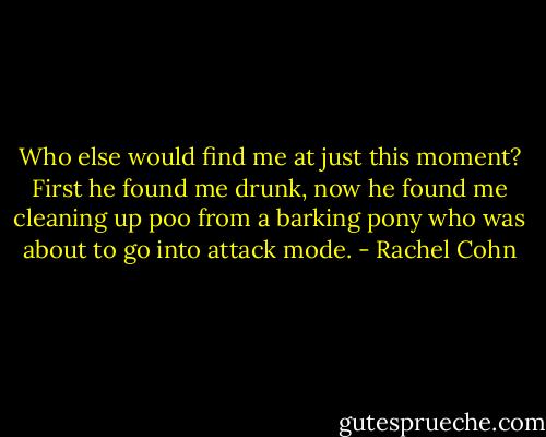Who else would find me at just this moment? First he found me drunk, now he found me cleaning up poo from a barking pony who was about to go into attack mode. - Rachel Cohn