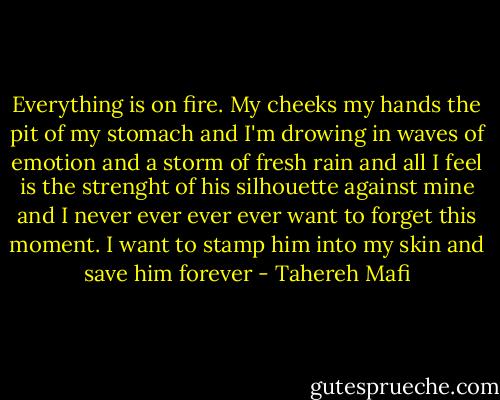 Everything is on fire. My cheeks my hands the pit of my stomach and I'm drowing in waves of emotion and a storm of fresh rain and all I feel is the strenght of his silhouette against mine and I never ever ever ever want to forget this moment. I want to stamp him into my skin and save him forever - Tahereh Mafi