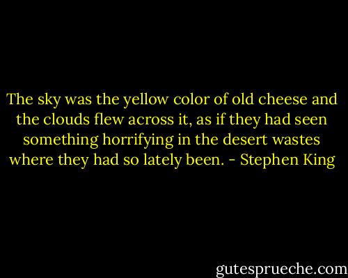 The sky was the yellow color of old cheese and the clouds flew across it, as if they had seen something horrifying in the desert wastes where they had so lately been. - Stephen King