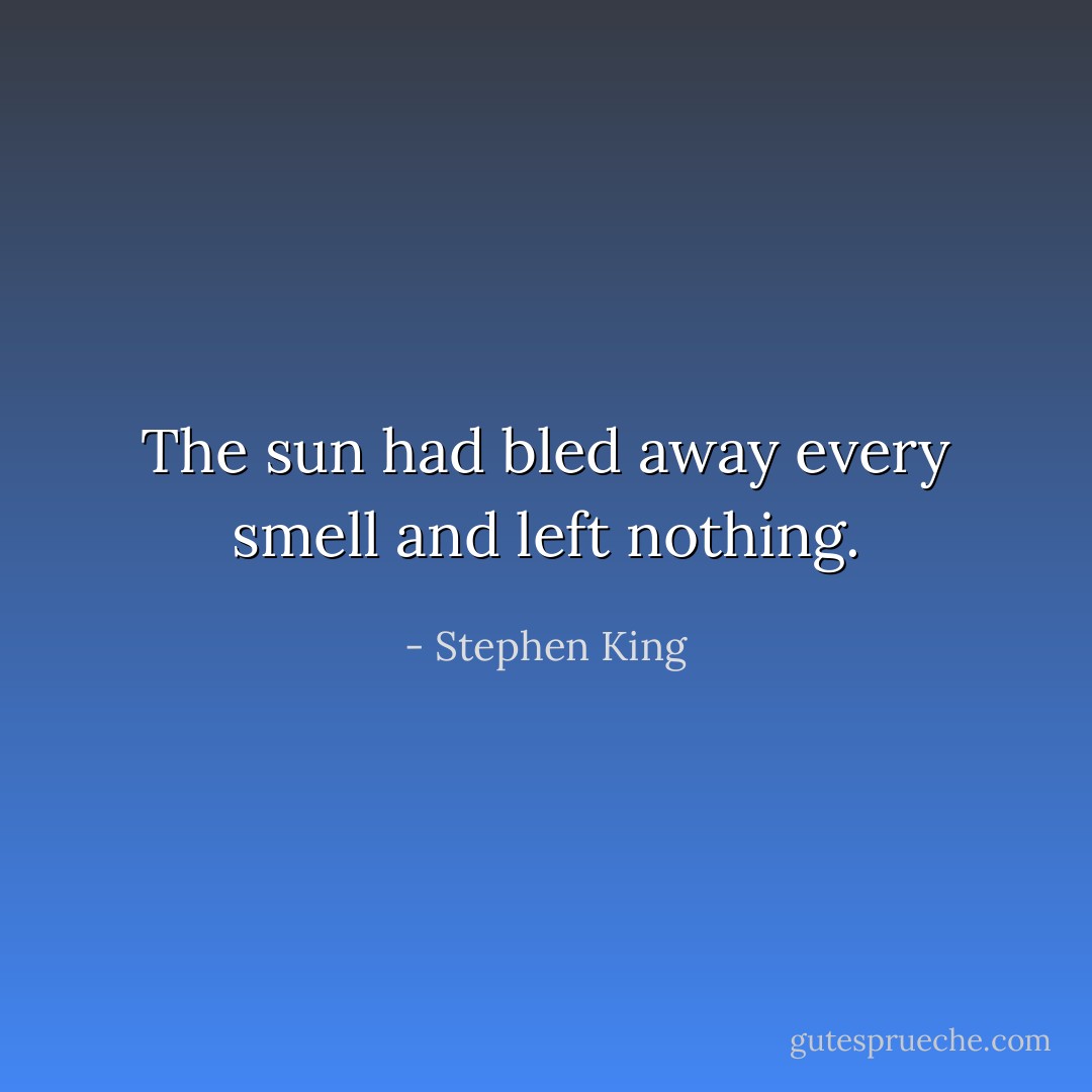 The sun had bled away every smell and left nothing. - Stephen King