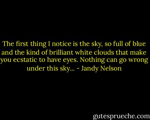 The first thing I notice is the sky, so full of blue and the kind of brilliant white clouds that make you ecstatic to have eyes. Nothing can go wrong under this sky... - Jandy Nelson