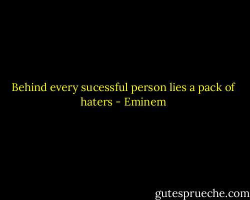 Behind every sucessful person lies a pack of haters - Eminem